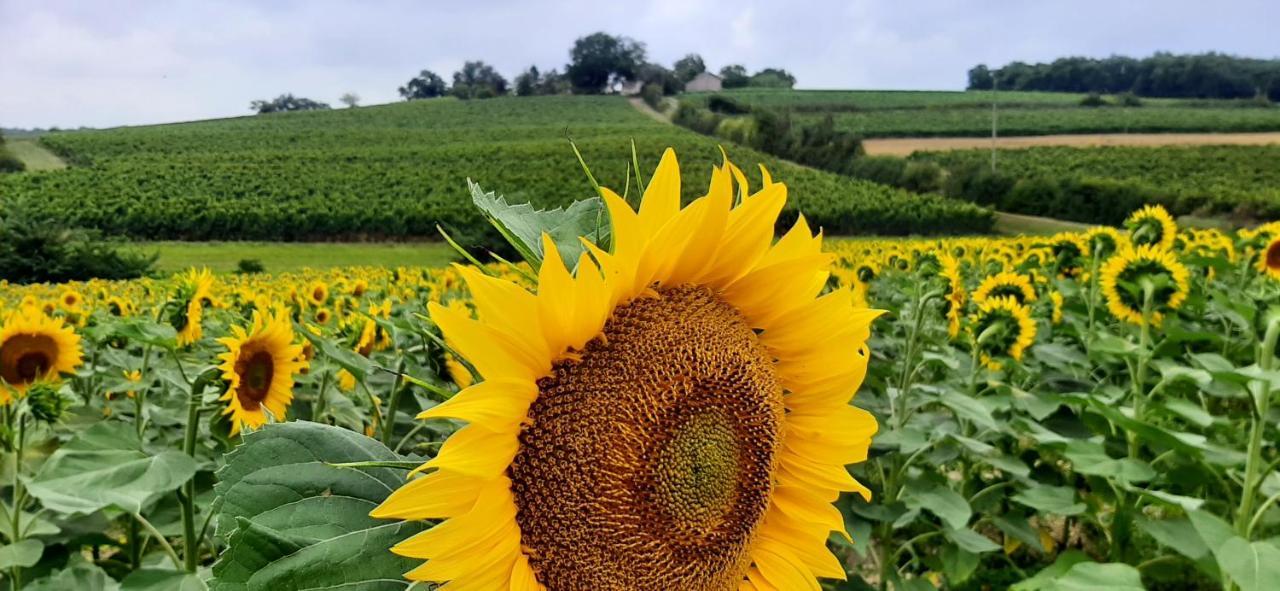 Gite - Le Moussat Lagraulet-du-Gers Bagian luar foto